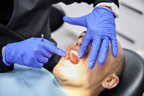 Best Emergency X-Rays and Diagnostics in Colesville, MD